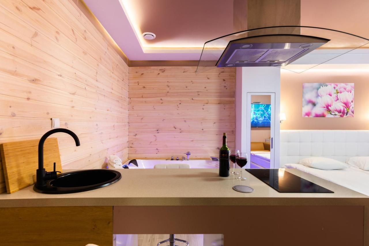 Melody De Luxe Apartment ミハウォビツェ エクステリア 写真